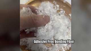 Yapışkansız Çift Bileşenli Bağlama Fiberi 2D*6MM, Filtre ve Otomotiv için Isıyla Eriyebilir Stabil Fiber