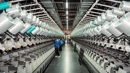 Son şirket haberleri Pamuk ve Poliester Elyafları Arasındaki Farklar: Derin Bir Uzman Analizi