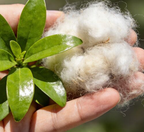 Son şirket haberleri Siyah & Beyaz İçi Boş Elyaf: Tekstil ve Endüstriyel Üretim İçin İdeal Seçim