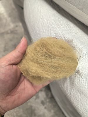 İyi bir fiyat. Geri dönüştürülmüş polyester staple fiber 6D 51mm Beige Low Elongation çevrimiçi
