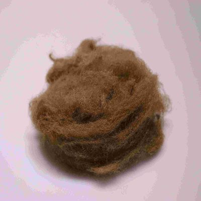İyi bir fiyat. Çevre dostu 4080 Polyester Staple Fibers Kahverengi Rahat Polyester Kısa Elyaf çevrimiçi