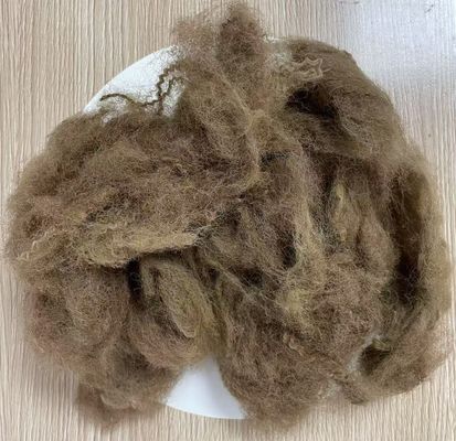 İyi bir fiyat. Düşük Uzunluklu Geri Dönüştürülmüş Poliester Staple Fiber 25D 65mm Deep Camel Color çevrimiçi