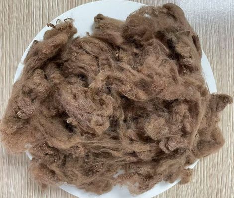 İyi bir fiyat. Geri dönüştürülmüş Polyester Staple Fiber 2.5D 51mm Sarı Kahve Yüksek kırışıklık direnci çevrimiçi
