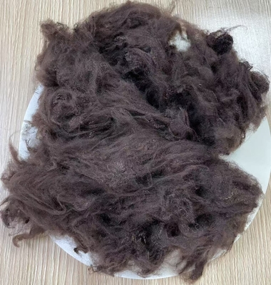 İyi bir fiyat. Silikonize edilmemiş Geri Dönüştürülmüş Poliester Elyafı 1.5D 38mm Koyu Kahve çevrimiçi