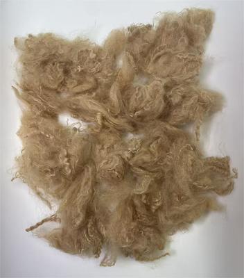 İyi bir fiyat. Recycled Polyester Staple Fiber with 38-64mm Fiber Cut Length High Tear Resistance and 0.4% Moisture Regain çevrimiçi